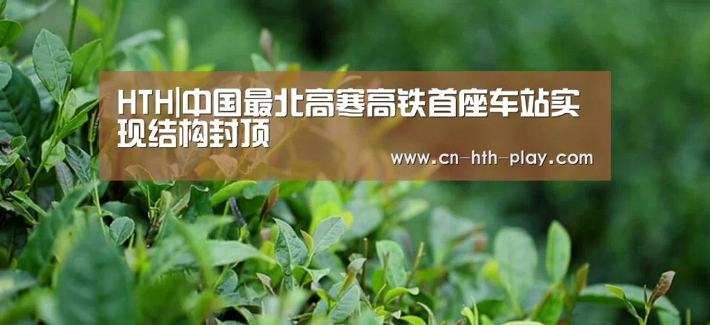 HTH|中国最北高寒高铁首座车站实现结构封顶(图4)